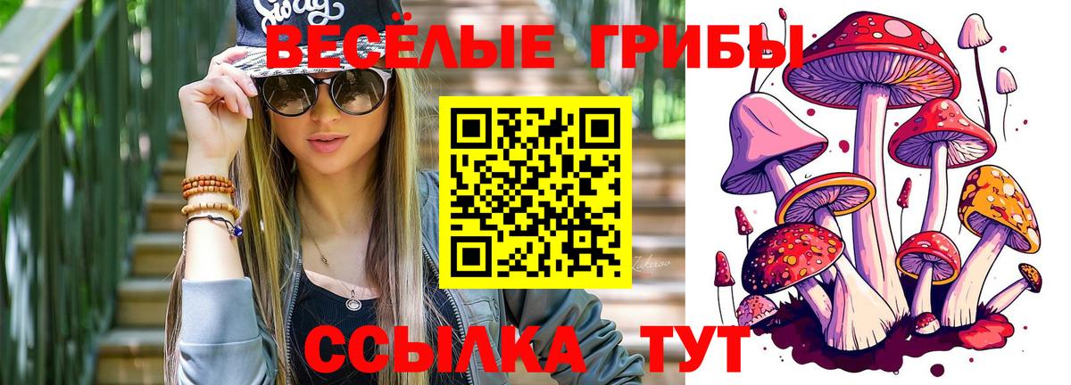 Галлюциногенные грибы Psilocybe Коломна