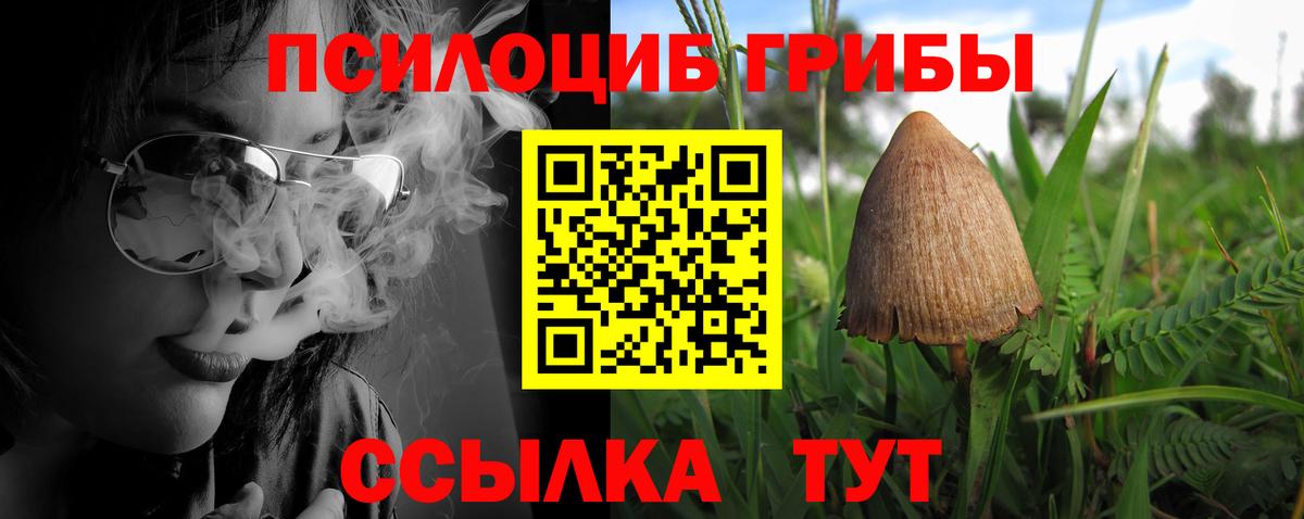 Галлюциногенные грибы Magic Shrooms  Вход с VPN  Коломна  сколько стоит  Псилоцибиновые грибы мухоморы 